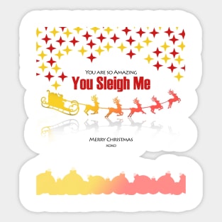 Christmas T - Shirt - You Sleigh Me Sticker